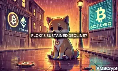 ¿FLOKI disminuirá aún más? Por qué el memecoin puede caer a...