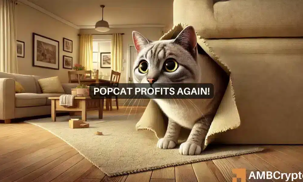 El interés abierto de POPCAT aumenta un 29%: ¿aumenta el sentimiento alcista?