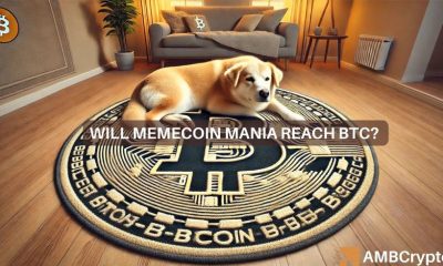 ¿Las memecoins de Bitcoin serán las próximas a recuperarse en 2025? Por qué ODOG podría recuperarse a continuación