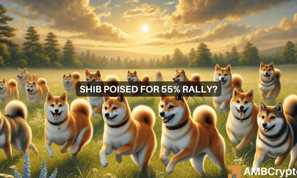 ¿Shiba Inu aumentará? Las ballenas recogen 1,67 T SHIB: ¿podría ser lo próximo un aumento del 45%?