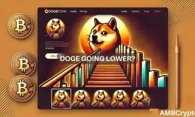 El precio de Dogecoin se desploma después del reciente aumento: ¿Qué tan bajo podría llegar?