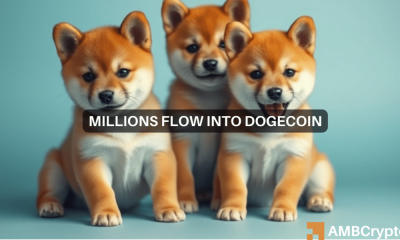 ¿Dogecoin está preparado para un cambio de precio? Los movimientos de las ballenas provocan especulaciones