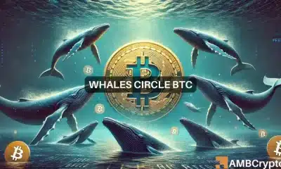 Apuesta de 330 millones de dólares en Bitcoin: se explica la acumulación masiva de Whale