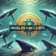 Apuesta de 330 millones de dólares en Bitcoin: se explica la acumulación masiva de Whale