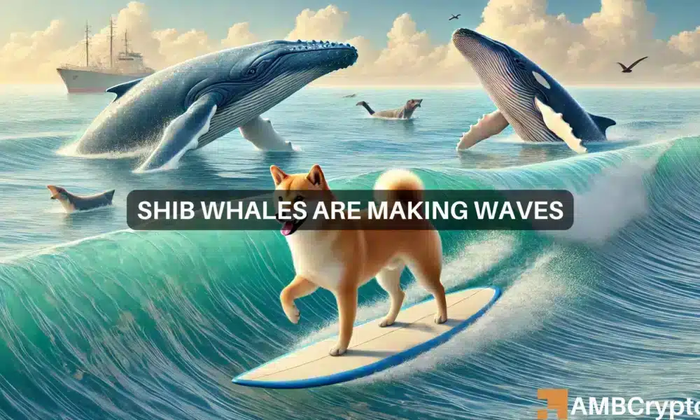 Whale mueve 99 millones de dólares en Shiba Inu: ¿Es inminente una corrección del mercado para la memecoin?