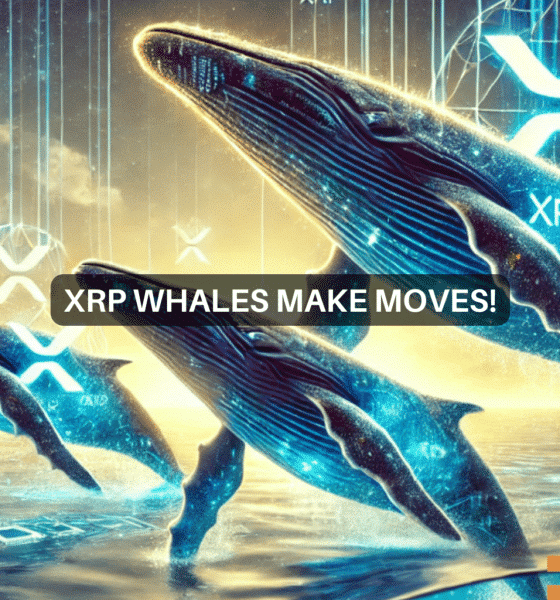 Las ballenas compran XRP por 233 millones de dólares en un solo día: lo que esto significa para Ripple