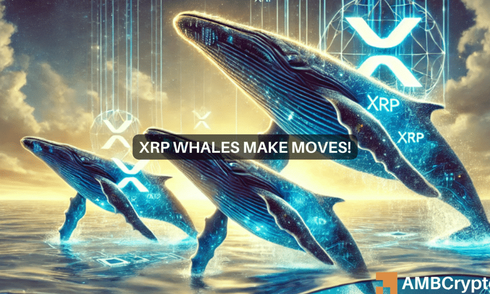 Las ballenas compran XRP por 233 millones de dólares en un solo día: lo que esto significa para Ripple