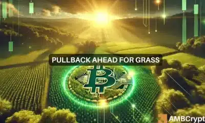 Grass crypto gana un 160% en 7 días y establece un nuevo ATH: ¿Qué viene después?