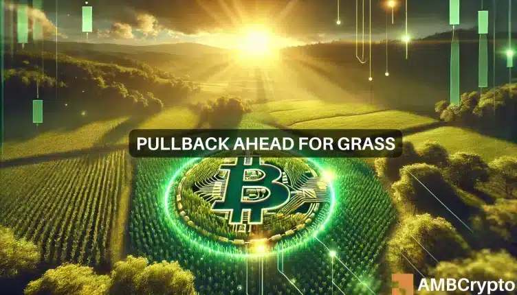 Grass crypto gana un 160% en 7 días y establece un nuevo ATH: ¿Qué viene después?