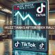 HUZZ Coin cae un 85% en un día: ¿Podrá recuperarse la memecoin impulsada por TikTok?