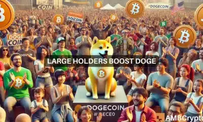 Dogecoin prueba un soporte crítico mientras 2 áreas clave experimentan un aumento