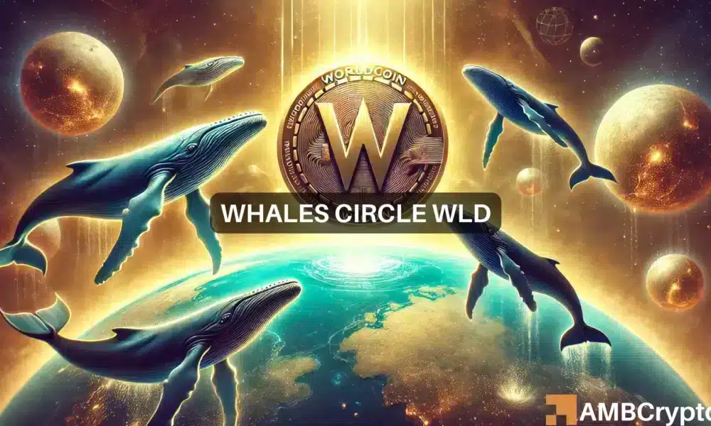 A pesar del interés de las ballenas, Worldcoin no logra estallar: ¿por qué?