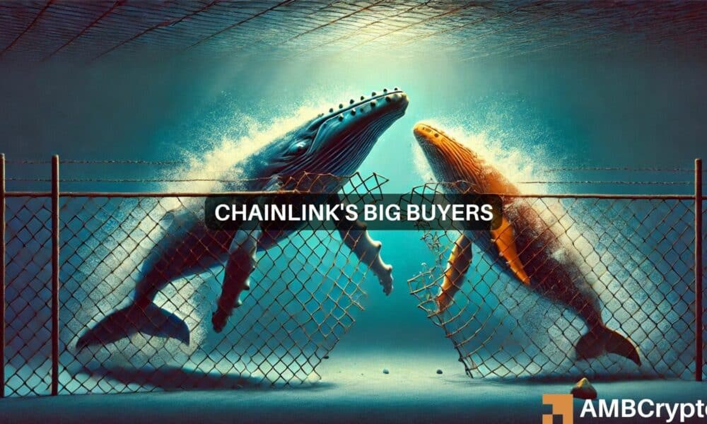 Chainlink: Las ballenas hacen un movimiento de 165 millones de dólares en LINK: ¿valdrá la pena?