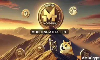 ¡Moo Deng cruza la capitalización de mercado ATH! ¿La memecoin vencerá a DOGE y SHIB?