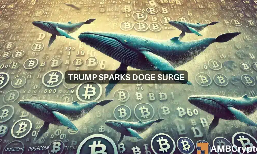 Las ballenas Dogecoin saltan: DOGE sube un 28%, gracias al 'efecto Trump'