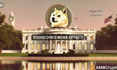 Noticias de Dogecoin: ¿Puede DOGE dispararse con Trump de regreso y Musk a bordo?