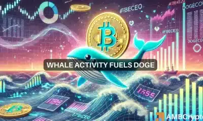 El movimiento de 200 millones de la ballena Dogecoin: ¿Ayudará esto a DOGE a superar los 0,43 dólares?