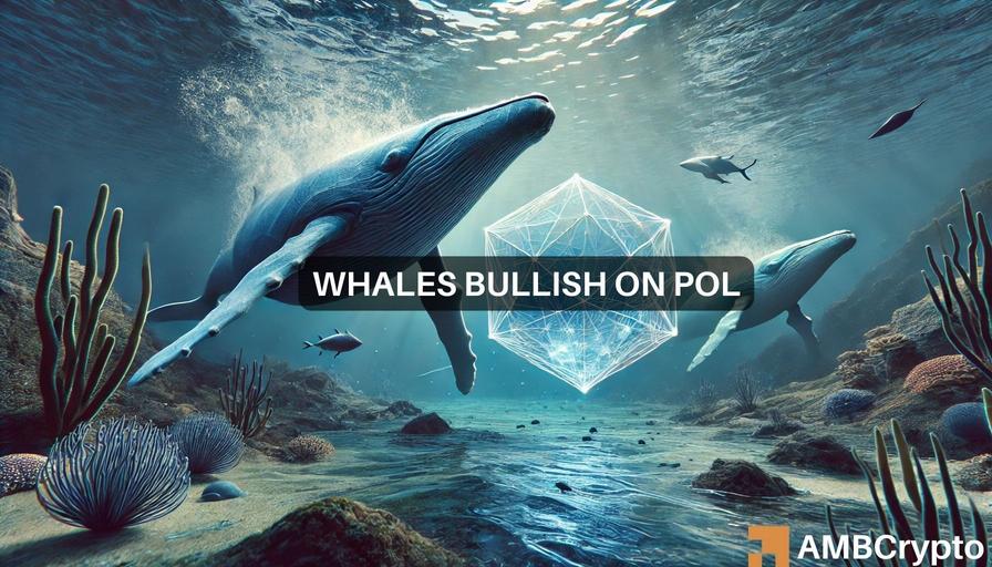 ¿Está infravalorado el POL? La actividad de las ballenas sugiere un posible beneficio