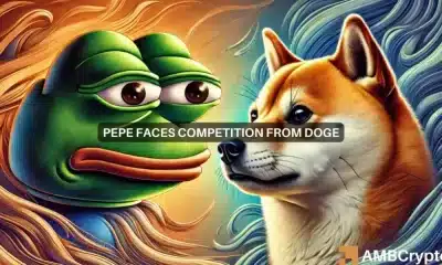 Las memecoins superan a las altcoins: ¿PEPE o DOGE son la clave para el próximo superciclo?