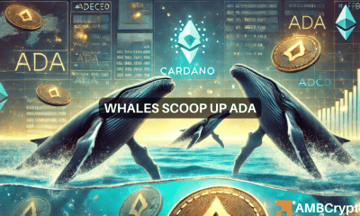 Las ballenas Cardano adquieren 130 millones de ADA: ¿es inminente una ruptura de 1 dólar?