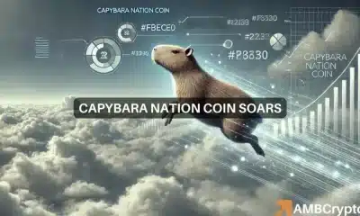 Capybara Nation aumenta un 348%, llega a ATH: ¿Puede continuar el repunte?