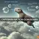 Capybara Nation aumenta un 348%, llega a ATH: ¿Puede continuar el repunte?