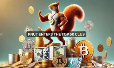 La criptomoneda Peanut the Squirrel sube un 200% y alcanza los $ 2,4 ATH – ¿Gracias a Elon Musk?