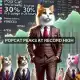 POPCAT se dispara un 30% en 24 horas: el analista prevé el siguiente objetivo de 5 dólares