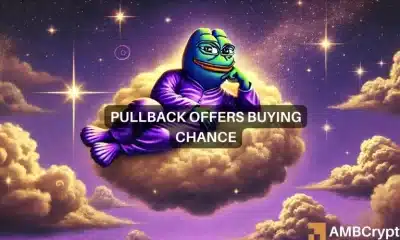 Purple Pepe sube un 120% en 24 horas y el volumen de operaciones casi se triplica