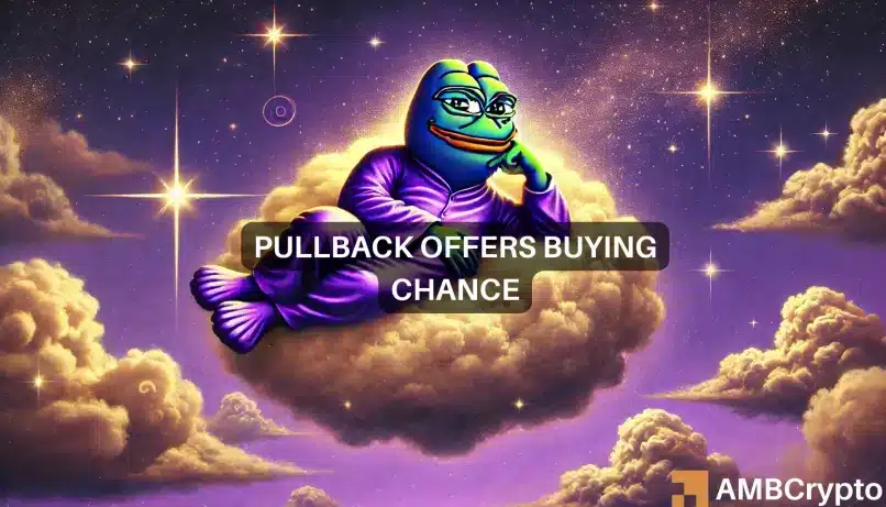 Purple Pepe sube un 120% en 24 horas y el volumen de operaciones casi se triplica