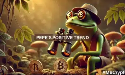 Pepe se eleva como el principal ganador de memecoins, pero ¿se desvanecerá el entusiasmo?