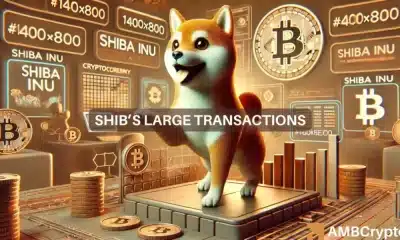 Shiba Inu hace grandes movimientos: lo que puede provocar un cambio importante de precios