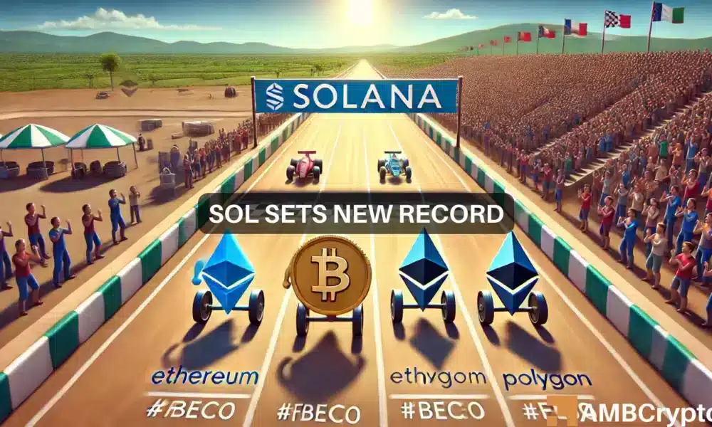 La adopción de Solana NFT aumenta: 3 veces más usuarios que Ethereum y Polygon