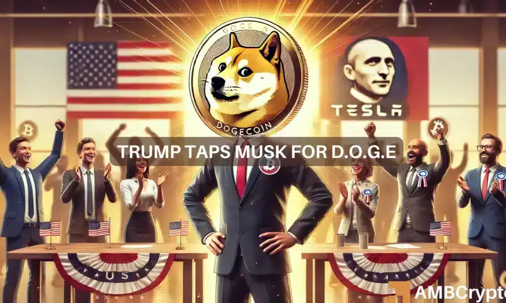 Elon Musk codirigirá el nuevo 'DOGE' de Trump: el precio de Dogecoin reacciona bruscamente