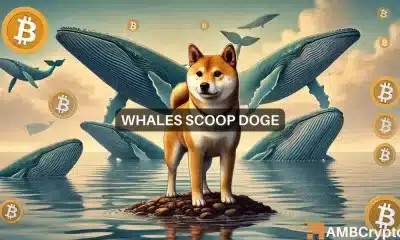 Por qué la acumulación de ballenas de 56 millones de dólares de Dogecoin podría NO ayudar al repunte de DOGE