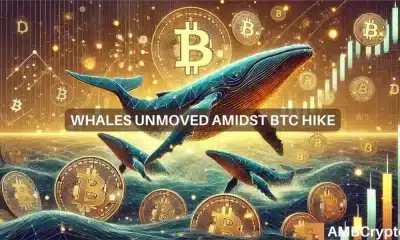 Las ballenas Bitcoin se niegan a vender: ¿Están los 100.000 dólares más cerca de lo que pensamos?