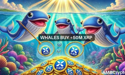 Predicción del precio de XRP: ¿la demanda de ballenas elevará el precio a 2 dólares?