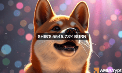 ¡La tasa de quema de Shiba Inu se dispara un 5545%! Lo que significa para SHIB