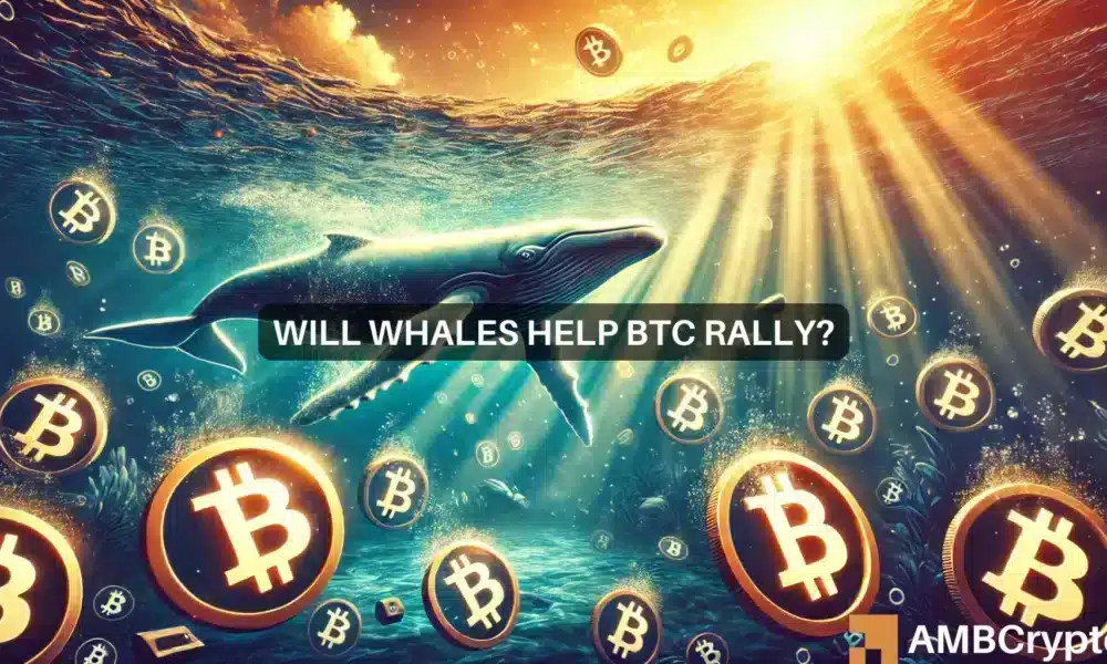 Las ballenas Bitcoin obtienen 100.000 BTC en una semana: ¿señal de un repunte continuo?