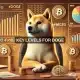 Dogecoin: examinando si ESTE nivel clave puede ayudar a DOGE a alcanzar los $0,56