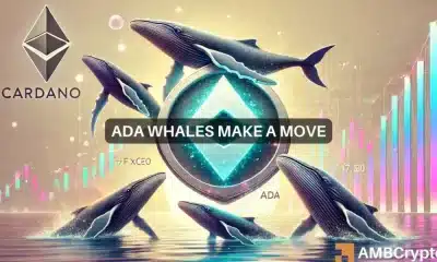 100 millones de ADA comprados en un día: ¿Están las ballenas Cardano planeando algo grande?