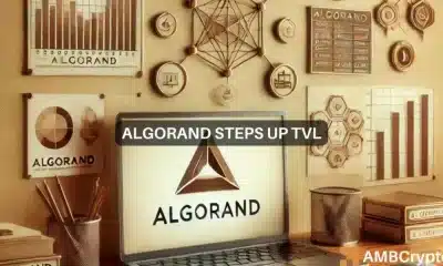 Algorand TVL aumenta un 300 % en un mes: ¿el precio de ALGO reflejará la tendencia alcista?