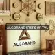 Algorand TVL aumenta un 300 % en un mes: ¿el precio de ALGO reflejará la tendencia alcista?