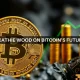 Cathie Wood dice que 'Bitcoin todavía está en las primeras entradas' mientras BTC cruza los 100k