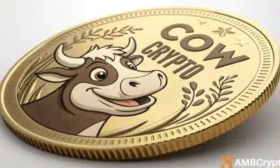 La criptomoneda COW aumenta un 50%: ¿el precio alcanzará un nuevo ATH en diciembre?