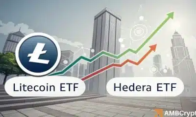 Por qué los ETF criptográficos de LTC y HBAR pueden debutar antes que SOL y XRP: los analistas explican