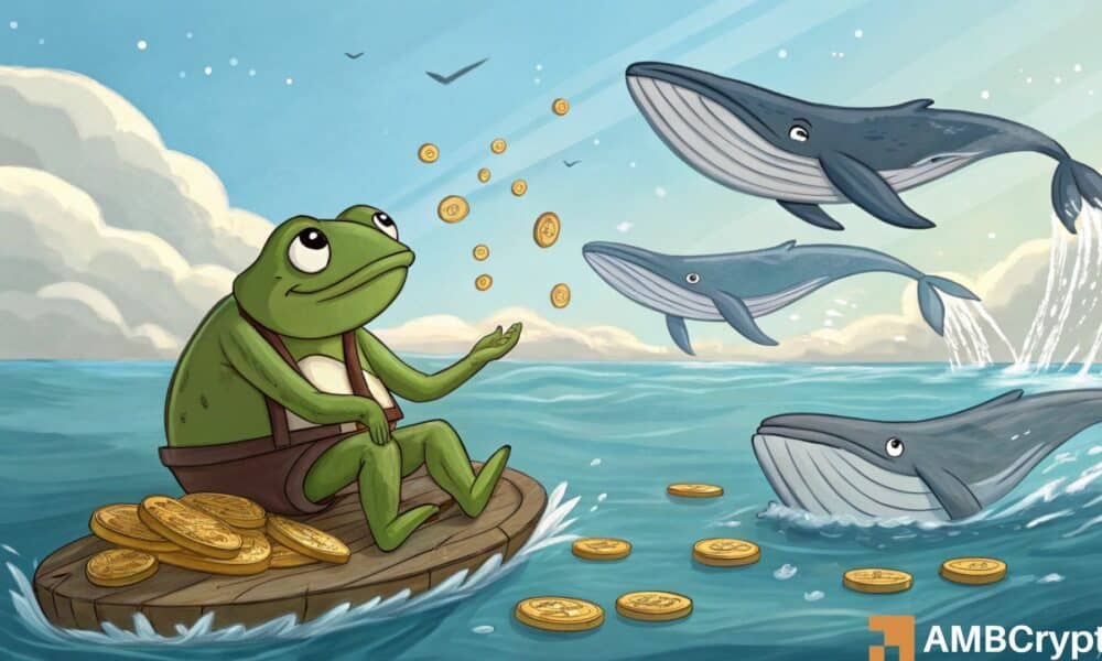 PEPE – Analizando el impacto en los precios de un vertedero de ballenas por valor de 52 millones de dólares