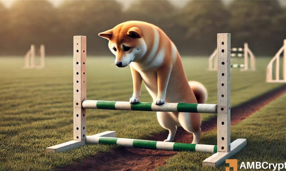 Dogecoin cae en medio de la fatiga de los inversores: ¿es hora de salir de las tenencias de DOGE?