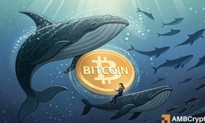 Bitcoin alcanza un nuevo ATH antes de estrellarse: ¿vendrán las ballenas al rescate?