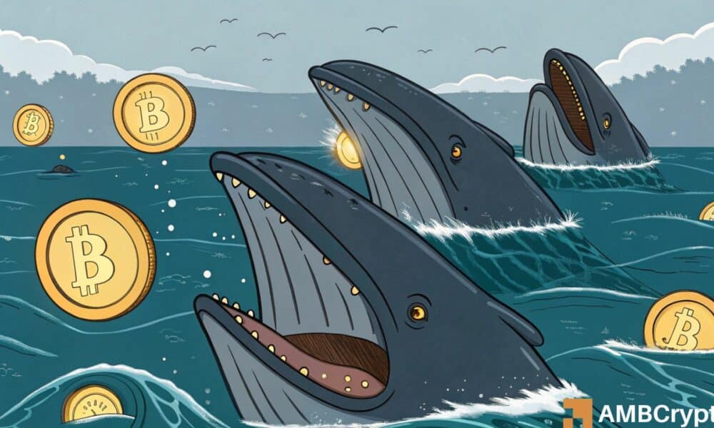 Las ballenas ayudan a la recuperación de Bitcoin: ¿Serán los 105.000 dólares los siguientes para BTC?